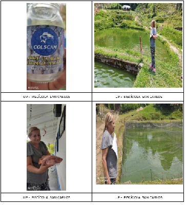 PISCICOLA SAN CARLOS 