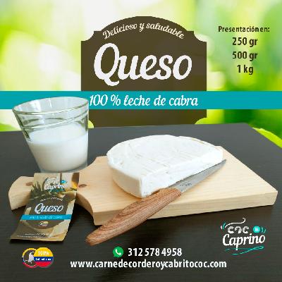 QUESO DE CABRA 100%
