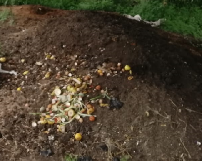 ASOCIACION REVERDESER SAN AGUSTIN