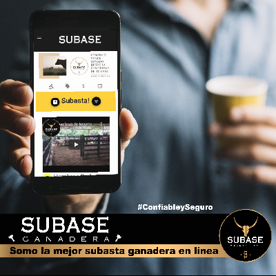 SUBASE.CO La mejor SUBASTA GANADERA Online