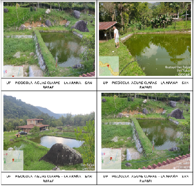 PISCICOLA  AGUAS CLARAS 